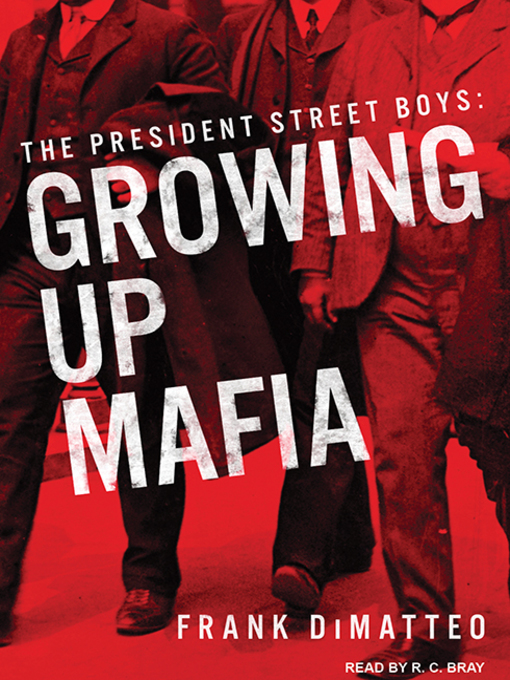 Title details for The President Street Boys by Frank DiMatteo - Wait list